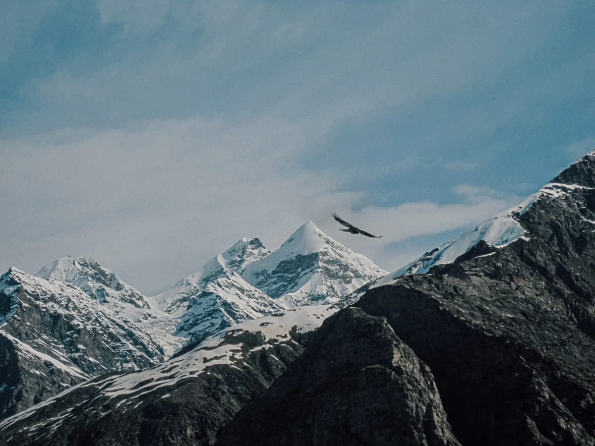 An eagle flying in the sky in Himachal Pradesh. Shot on Canon IXUS 120.