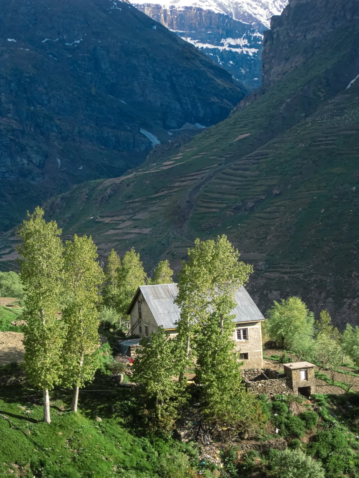 A snap of a cute house in Sissu.