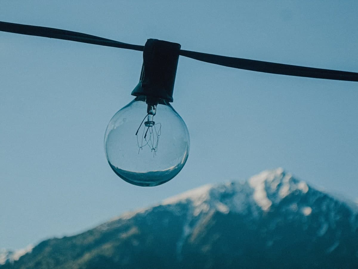 A close-up shot of a bulb at Parvati's lap in Himachal. Taken on Canon IXUS 120.