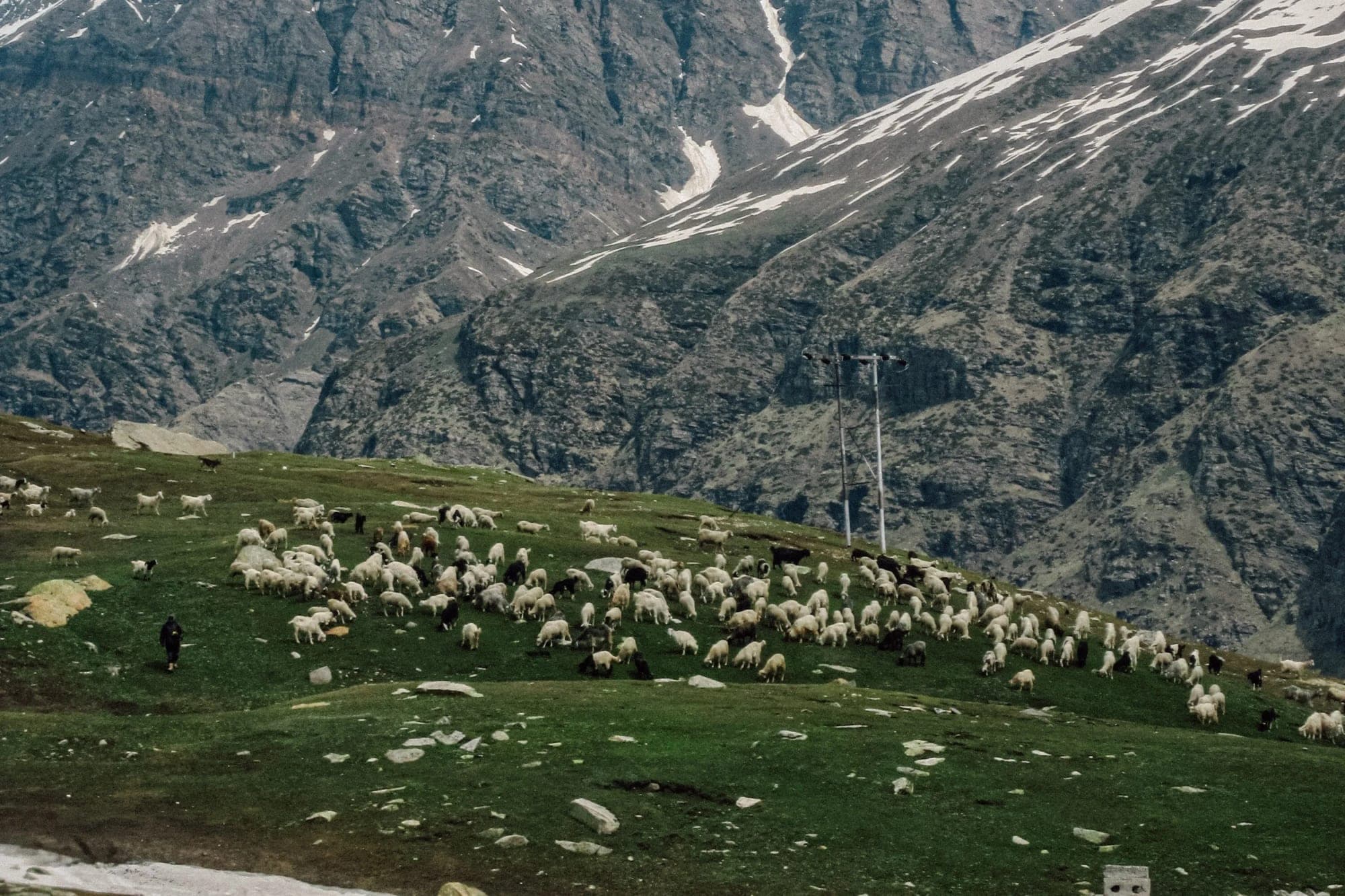 Nature photography preview